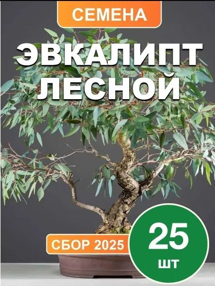 Семена #1