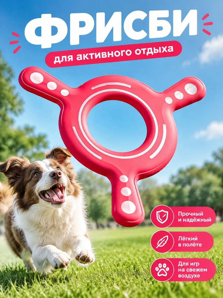 Фрисби #1