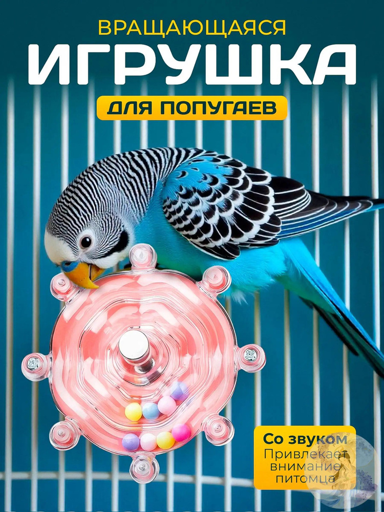 Игра для попугаев #1