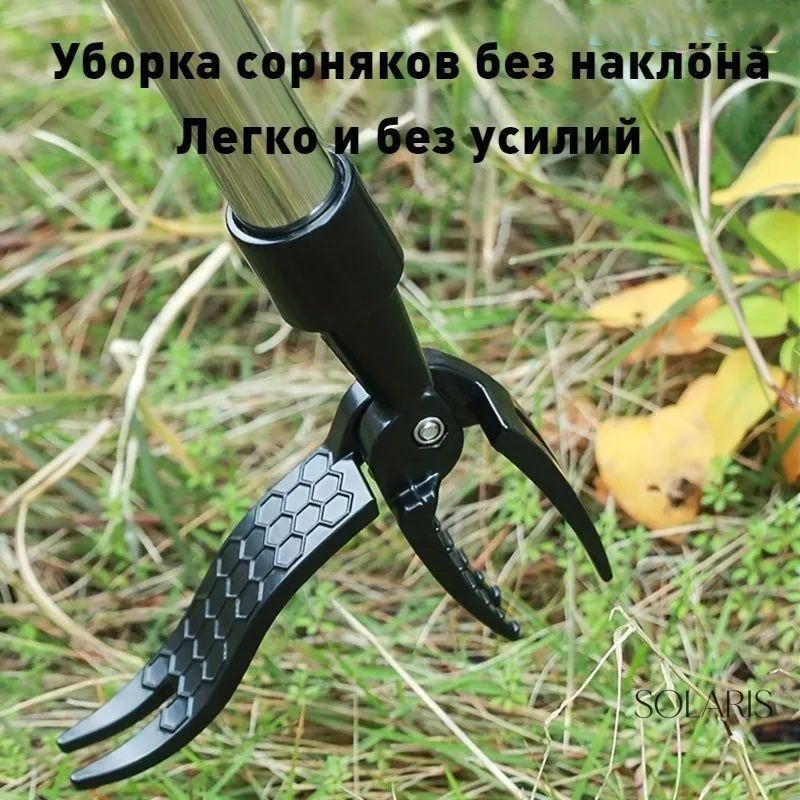 Prima Кустодер #1
