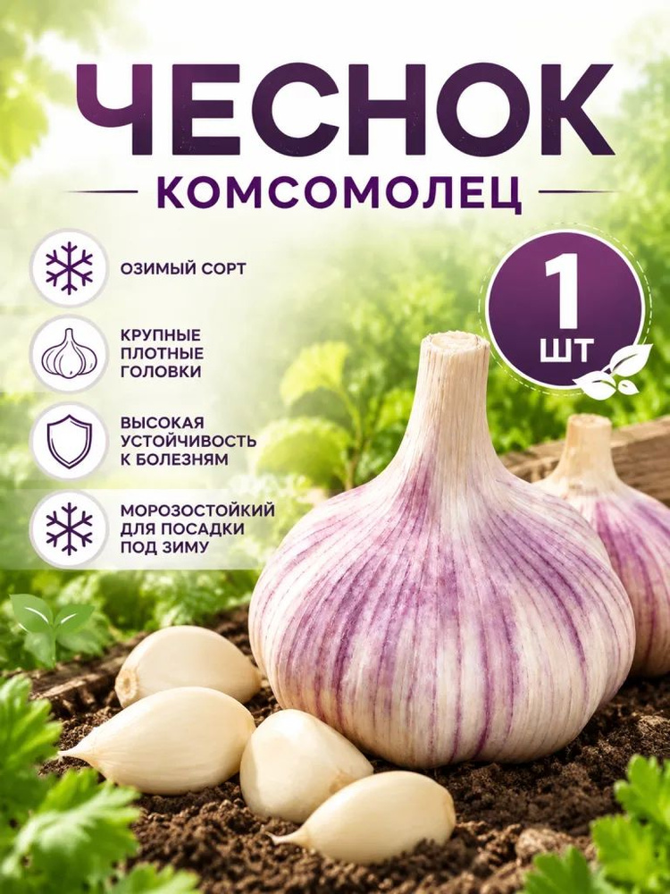 Семена ,1шт #1