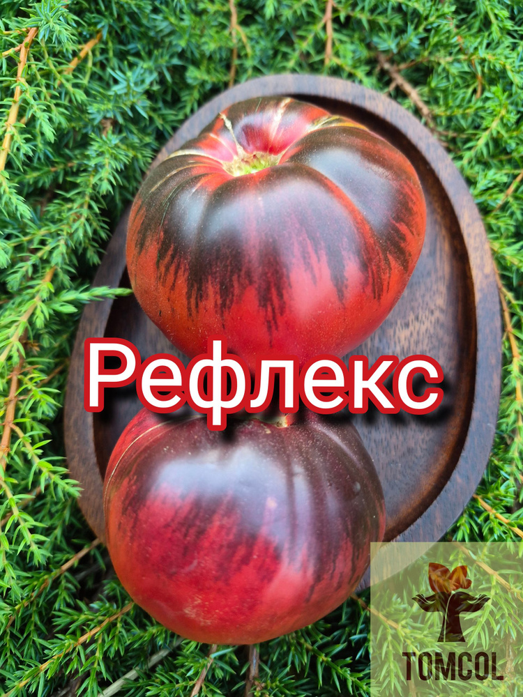 Семена #1