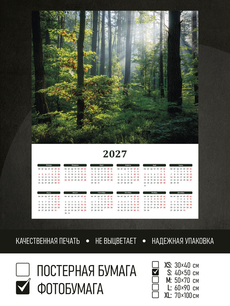 Календарь 2027 Солнечное утро в лесу, фотобумага 40х50 см ПолиЦентр #1