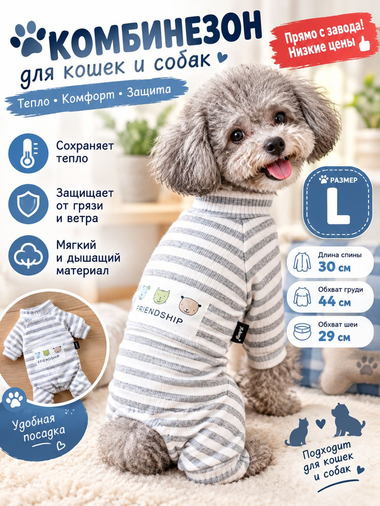 Одежда для животных #1