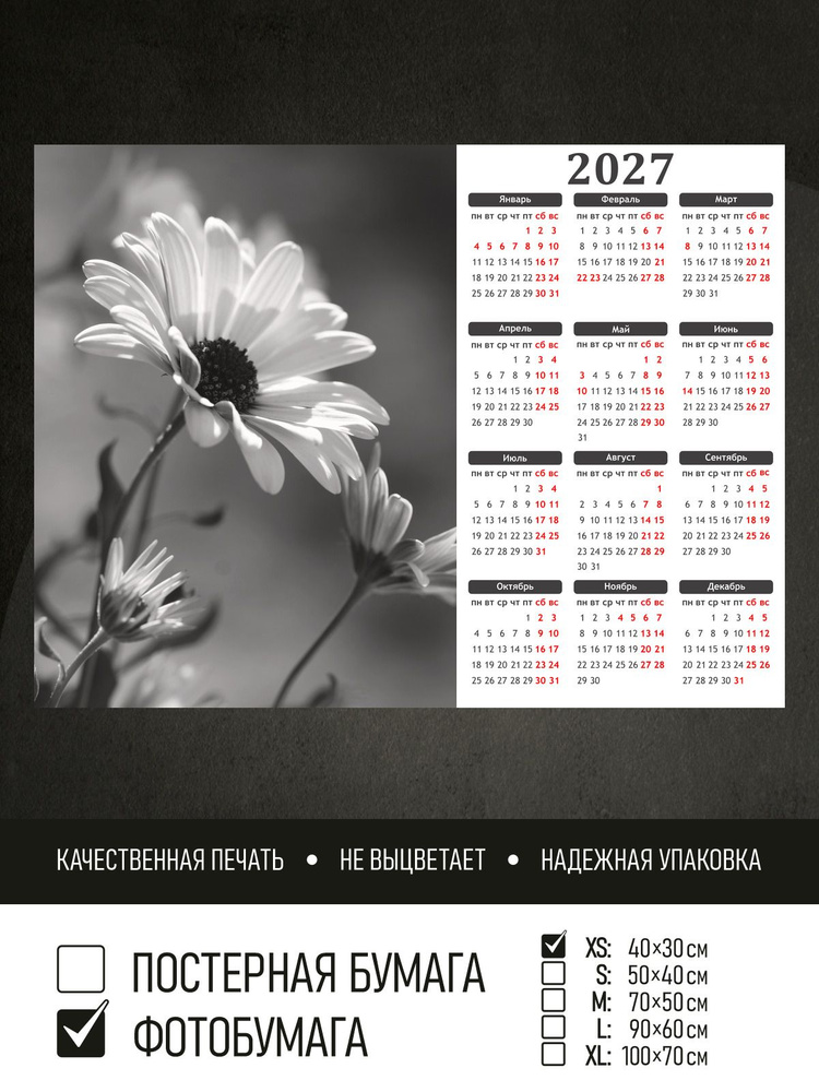 Календарь 2027 Черно белые маргаритки, фотобумага 40х30 см ПолиЦентр #1