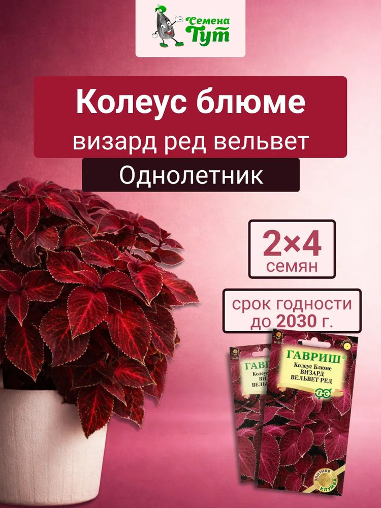 Гавриш Семена #1