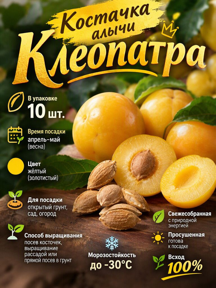 Семена ,10шт #1