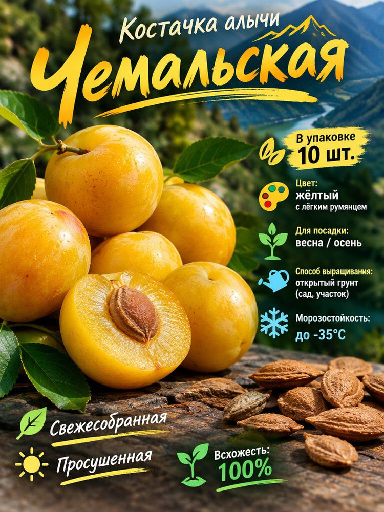 Семена ,10шт #1