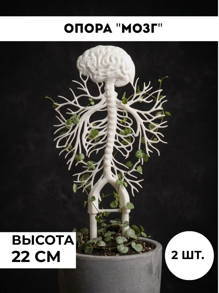 Шпалера #1
