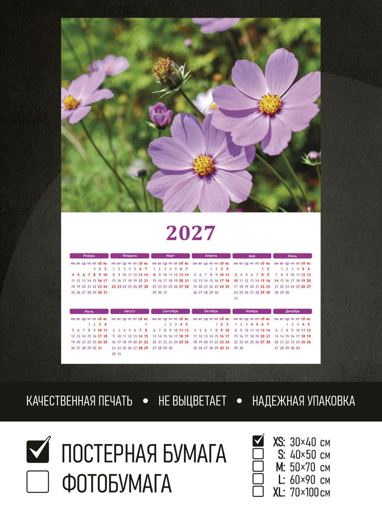 Календарь 2027 на стену Фиолетовые цветы космеи, 30х40 см ПолиЦентр #1