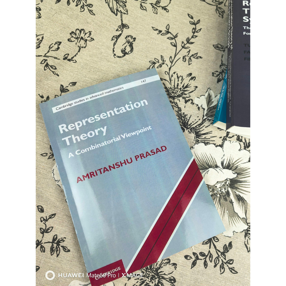 Representation Theory A Combinatorial Viewpoint #1