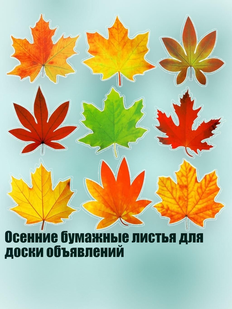  Картон #1