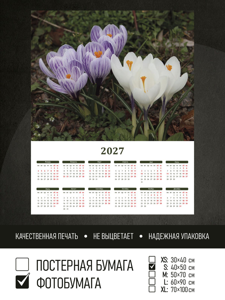 Календарь 2027 Фиолетовые и белые крокусы, фотобумага 40х50 см ПолиЦентр #1