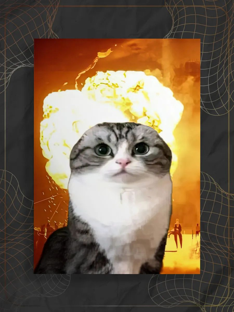 Постер "Мем кот" #1