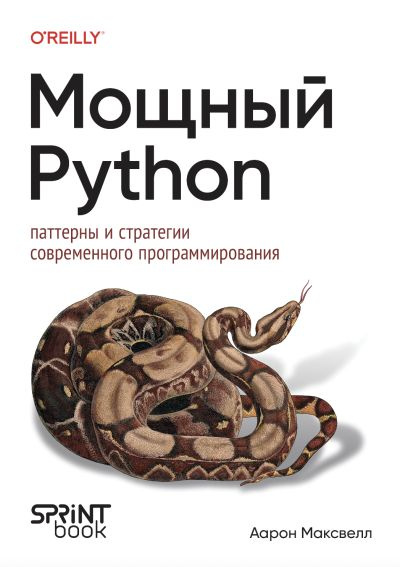 Мощный Python: паттерны и стратегии современного программирования. #1
