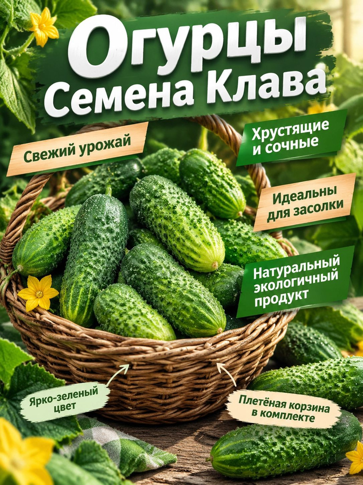 Семена ,10шт #1