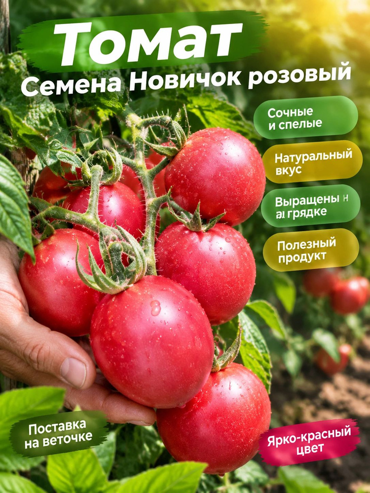 Семена ,10шт #1
