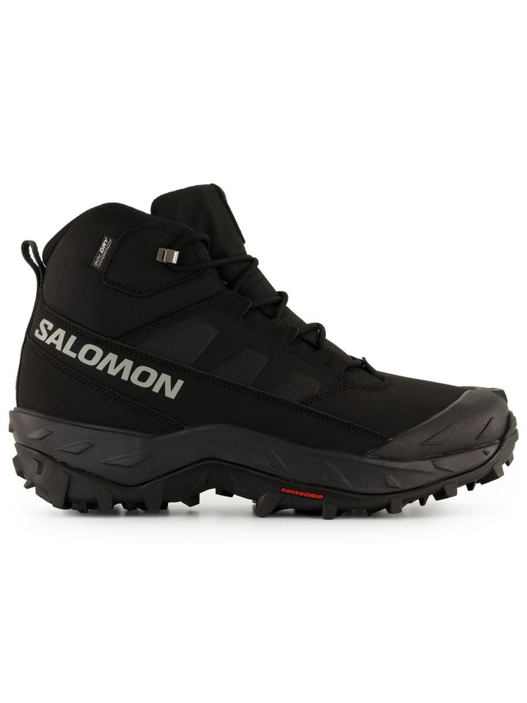 Ботинки Salomon #1