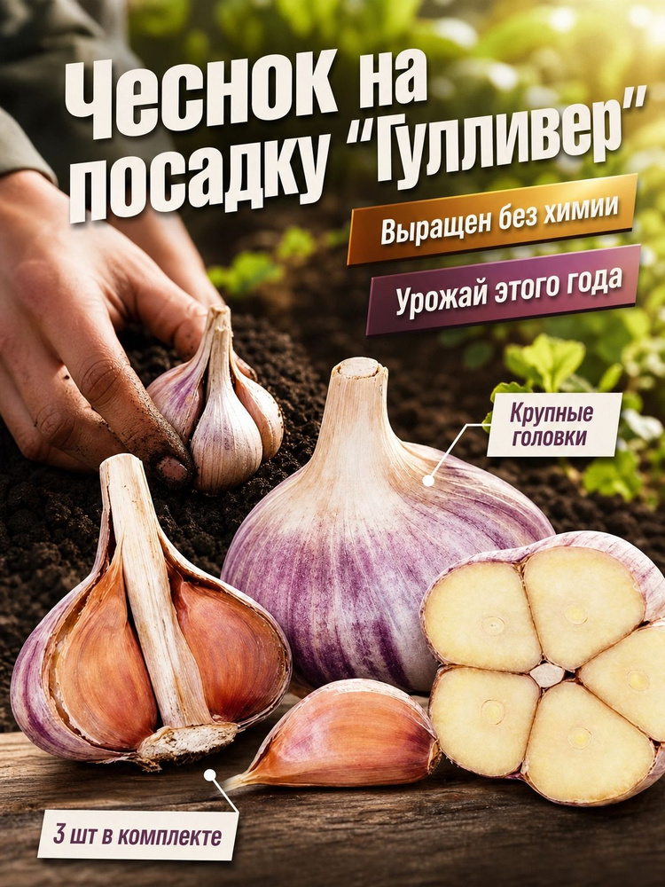 Семена ,3шт #1