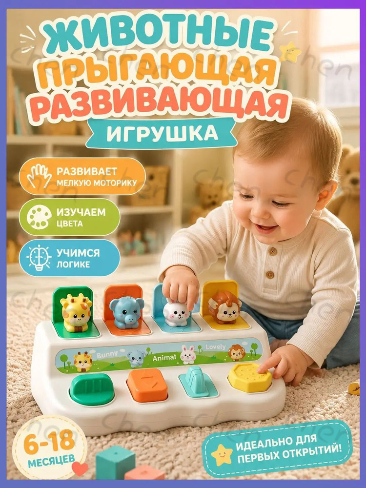 Сортер #1