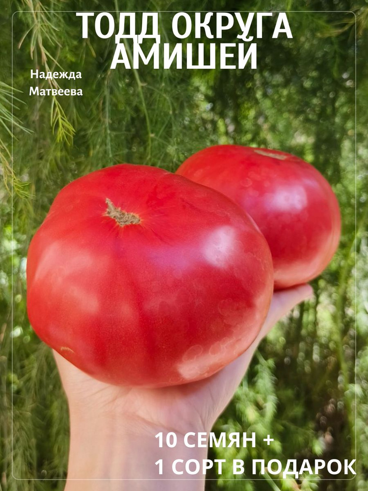Семена #1