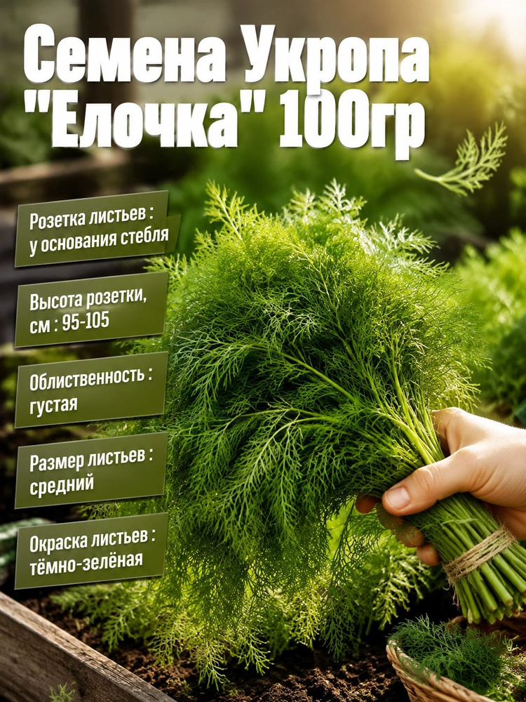 Семена #1