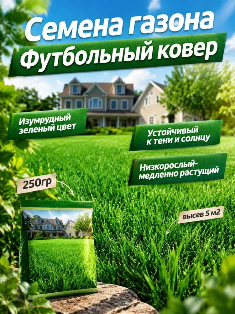 Семена #1