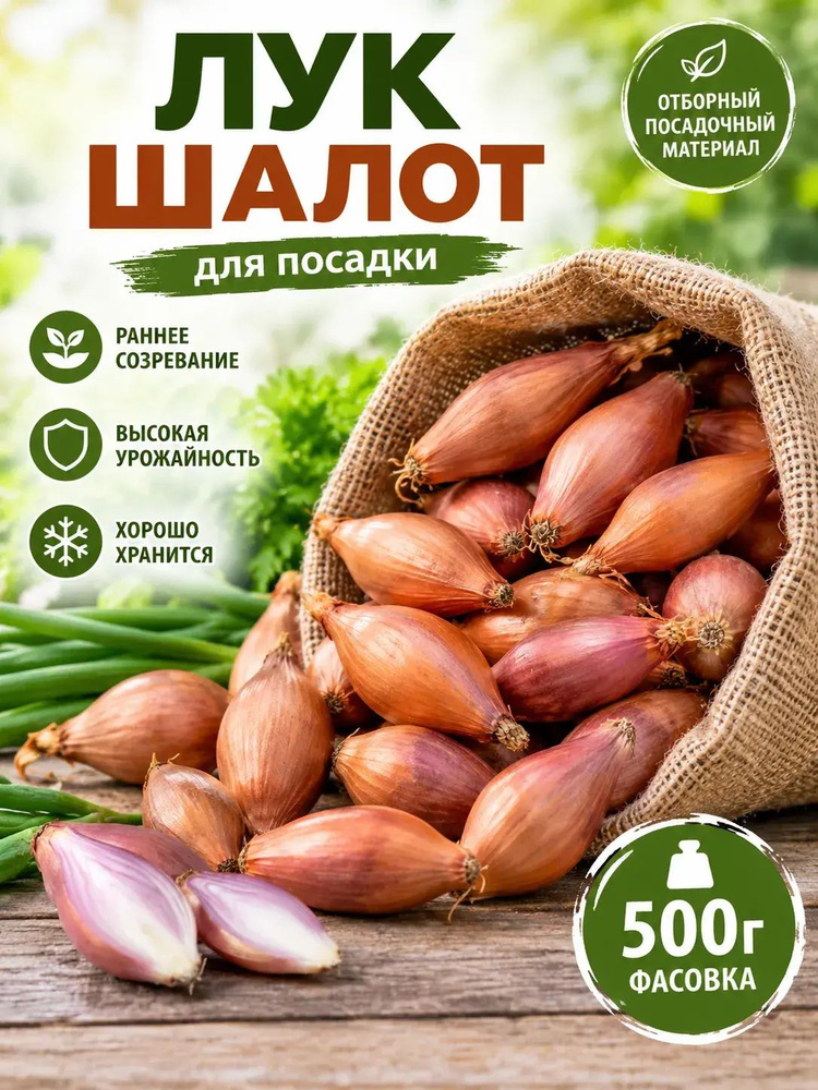 Семена #1