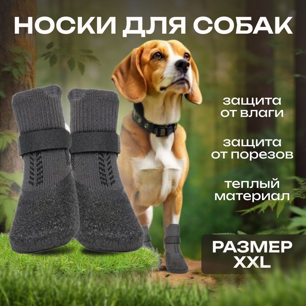Обувь для собак #1