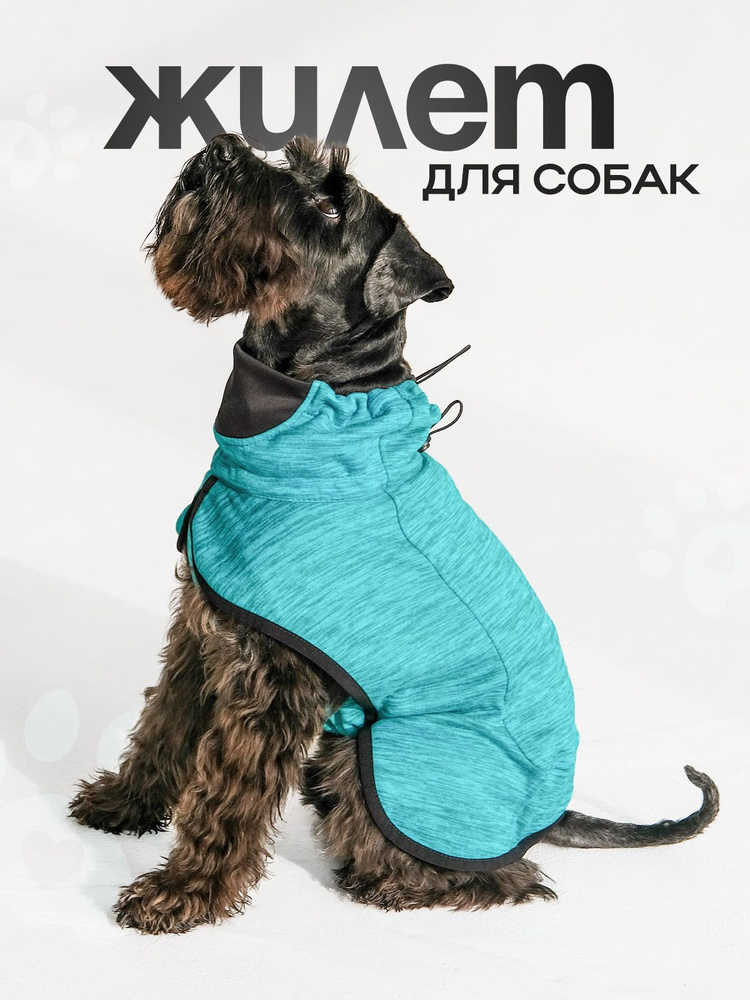 Жилет для собак - купить с доставкой по выгодным ценам в интернет ...