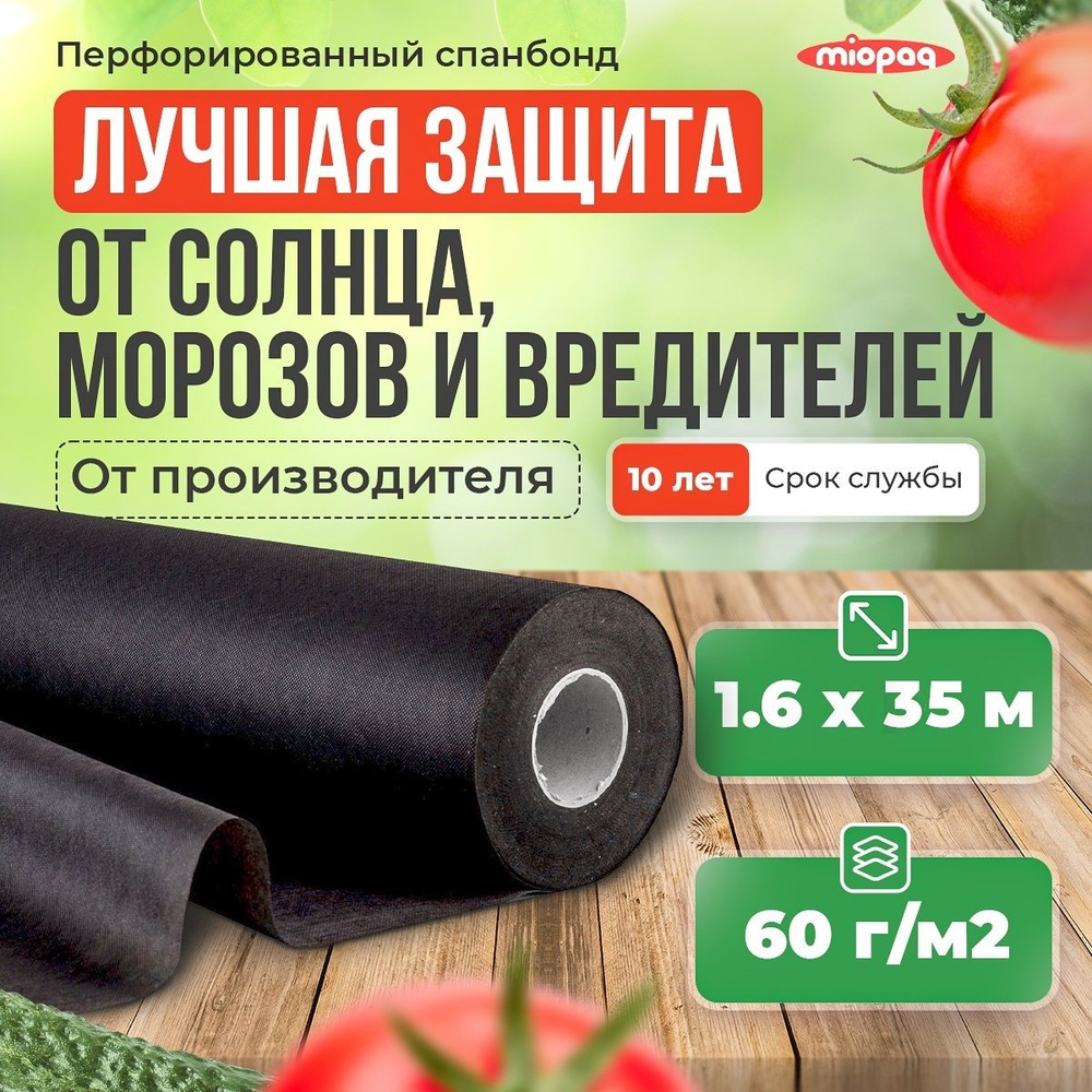 Укрывной материал от сорняков 1,6х35 м, черный / агроткань из спанбонда для защиты растений с УФ-фильтром #1