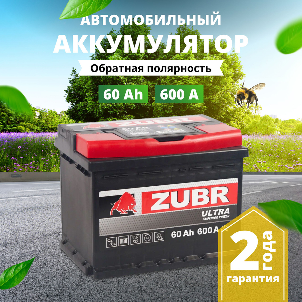 Аккумулятор автомобильный 12v 60 Ah ZUBR Ultra 60 Ач 600 А обратная  полярность 242x175x190 стартерный акб для автомобиля, машины