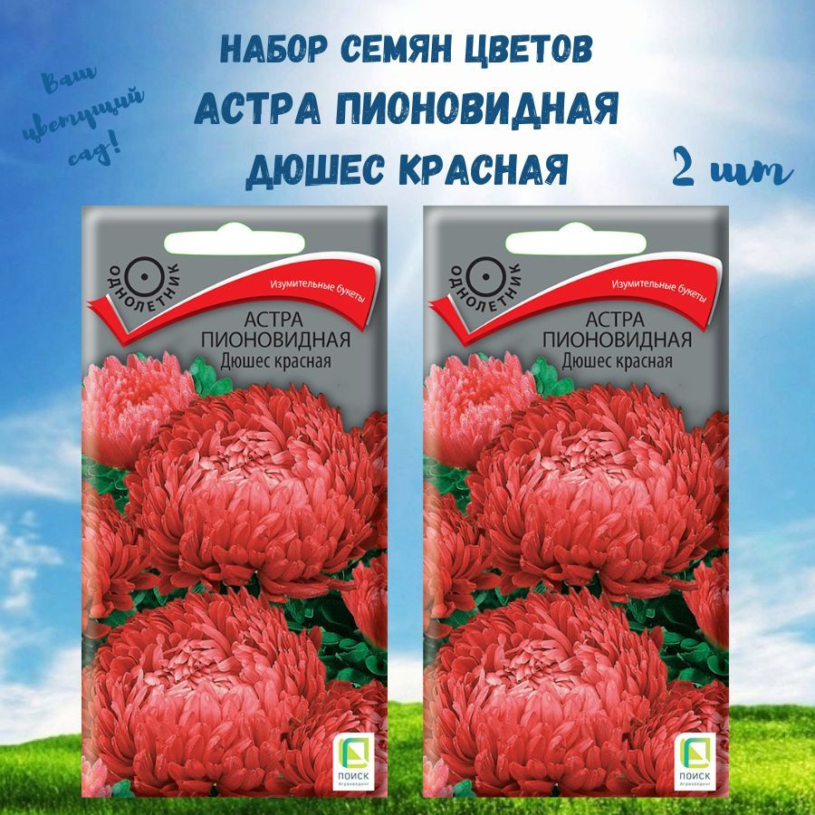 Семена астры пионовидной, 2 пачки, Поиск #1