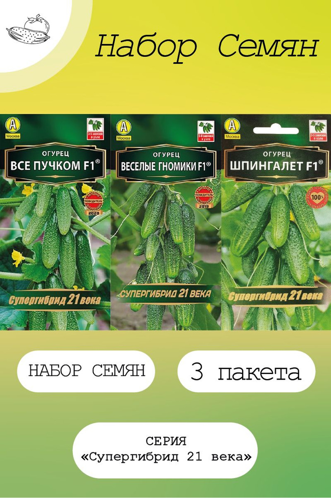 Описание огурцов Все пучком