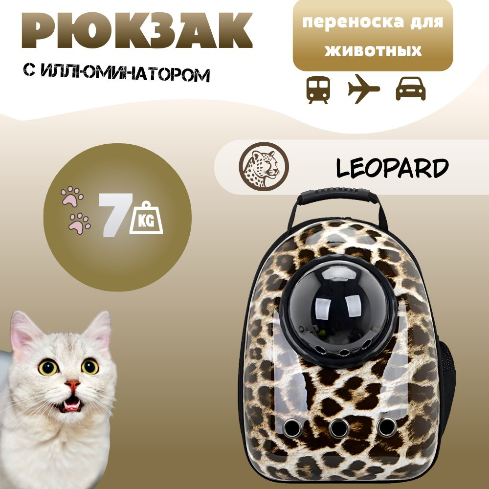 Переноска #1