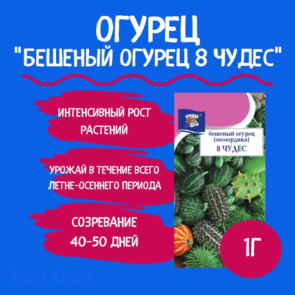 Момордика Урожай удачи Огурец Yom Shop One - купить по выгодным ценам в  интернет-магазине OZON (588589247)