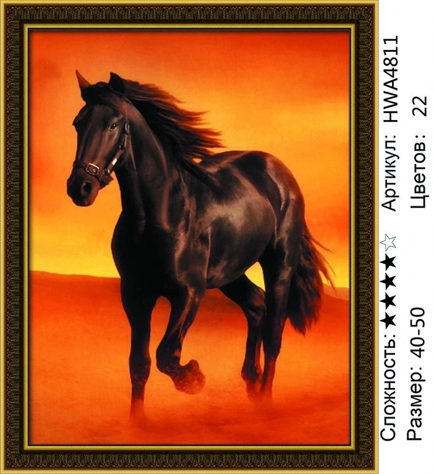 Алмазная мозаика 40*50 на по подрамнике чёрный конь #1