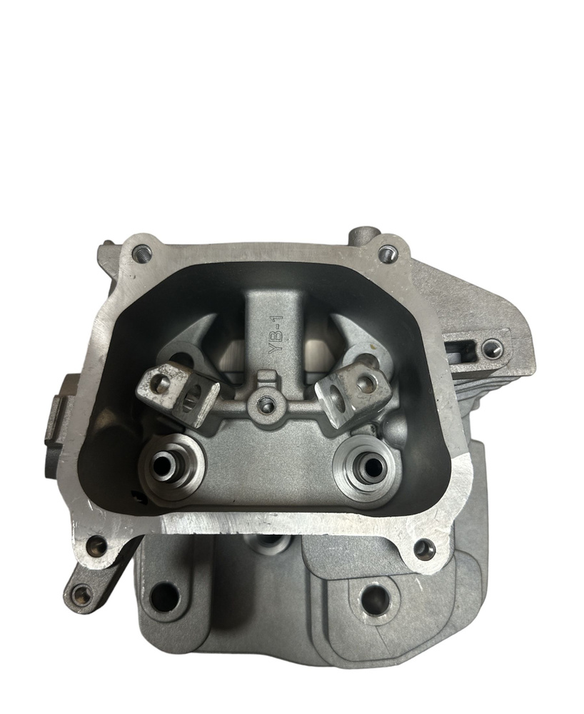 голенькие лс "