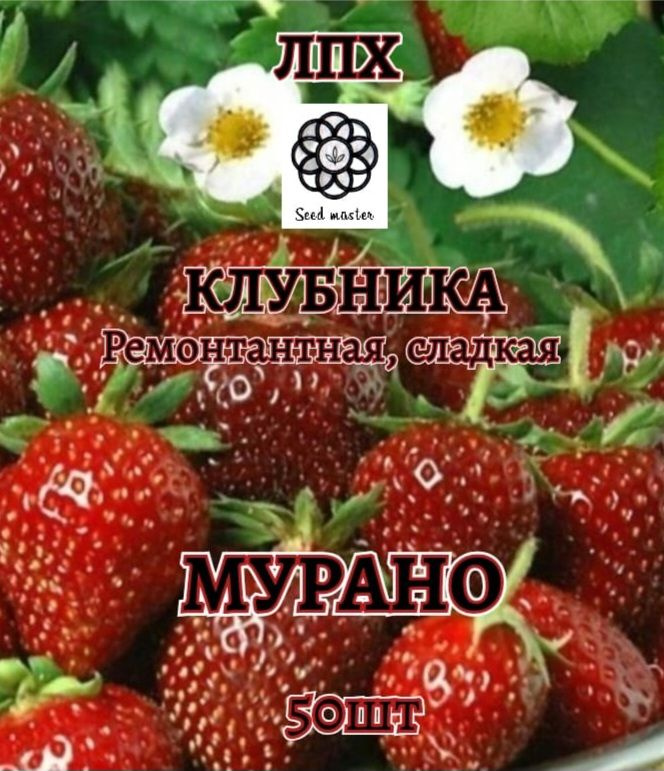 Семена ,50шт #1
