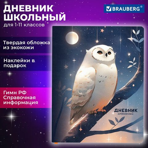 Дневник 1-11 класс 48 л., кожзам (твердая с поролоном), печать, наклейки, BRAUBERG, "Сова", 106947  #1