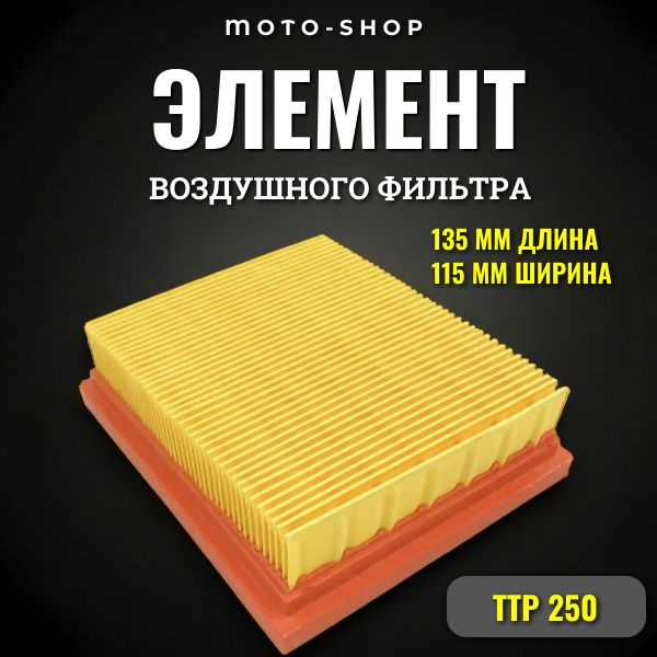 Элемент воздушного фильтра ТТР 250 #1