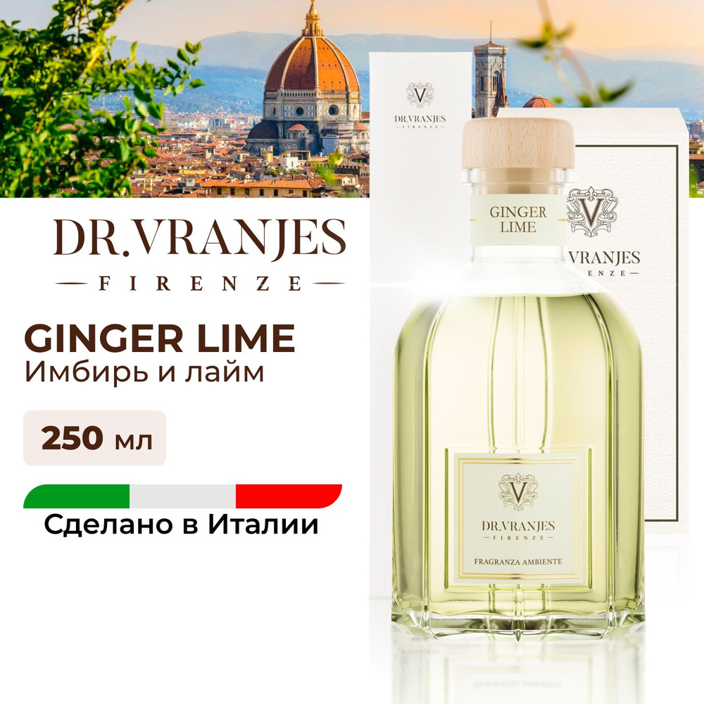 Диффузор Dr.Vranjes Ginger Lime (Имбирь и лайм) 250мл, аромат для дома,  цитрусовый, FRV0014C, Италия