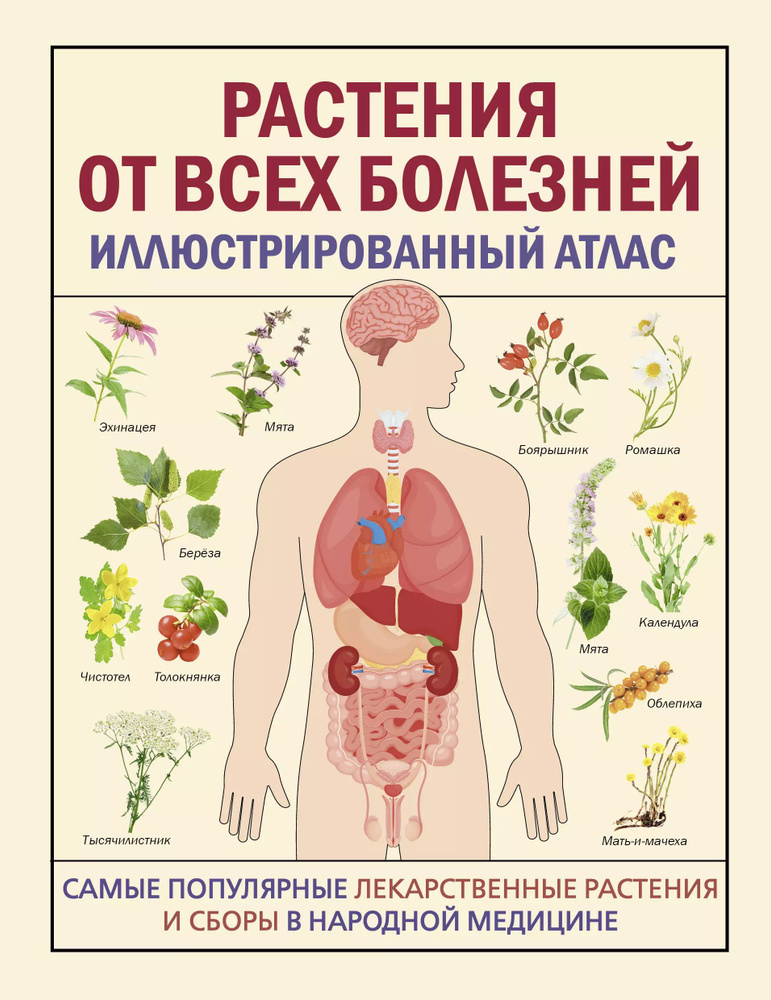 Растения от всех болезней. Иллюстрированный атлас #1