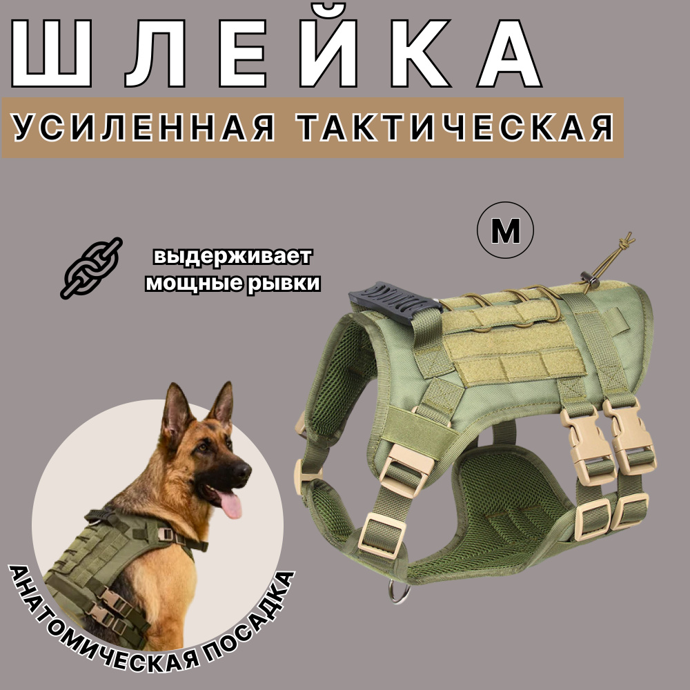 Шлейка #1