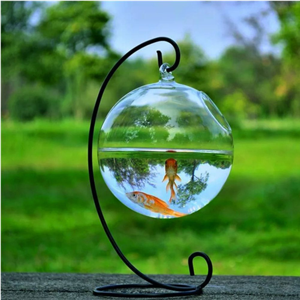 Мини Fish Tank #1