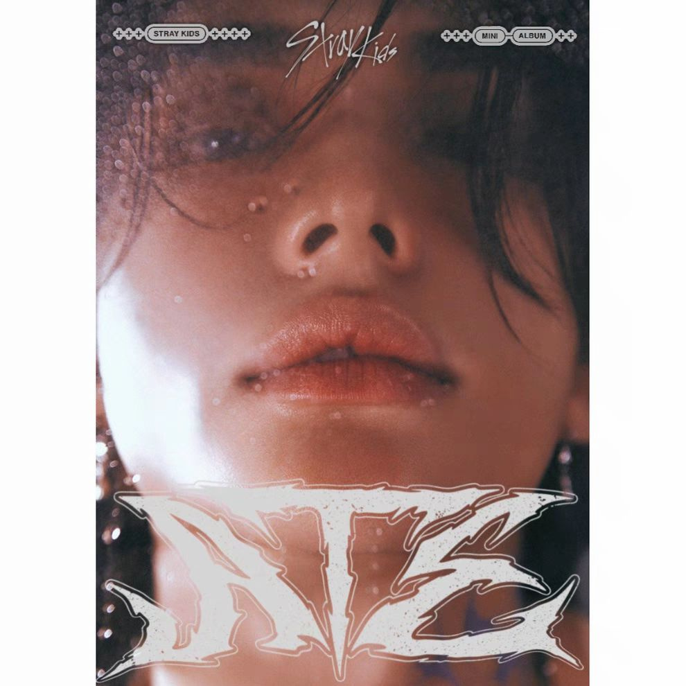 Альбом Stray Kids - ATE 9th Mini Album ACCORDION Ver. купить на OZON по ...