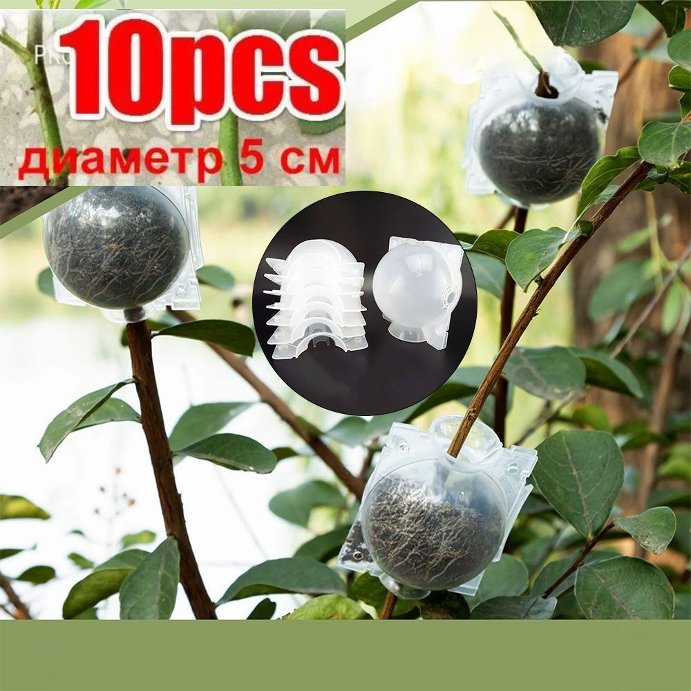 Набор для выращивания #1