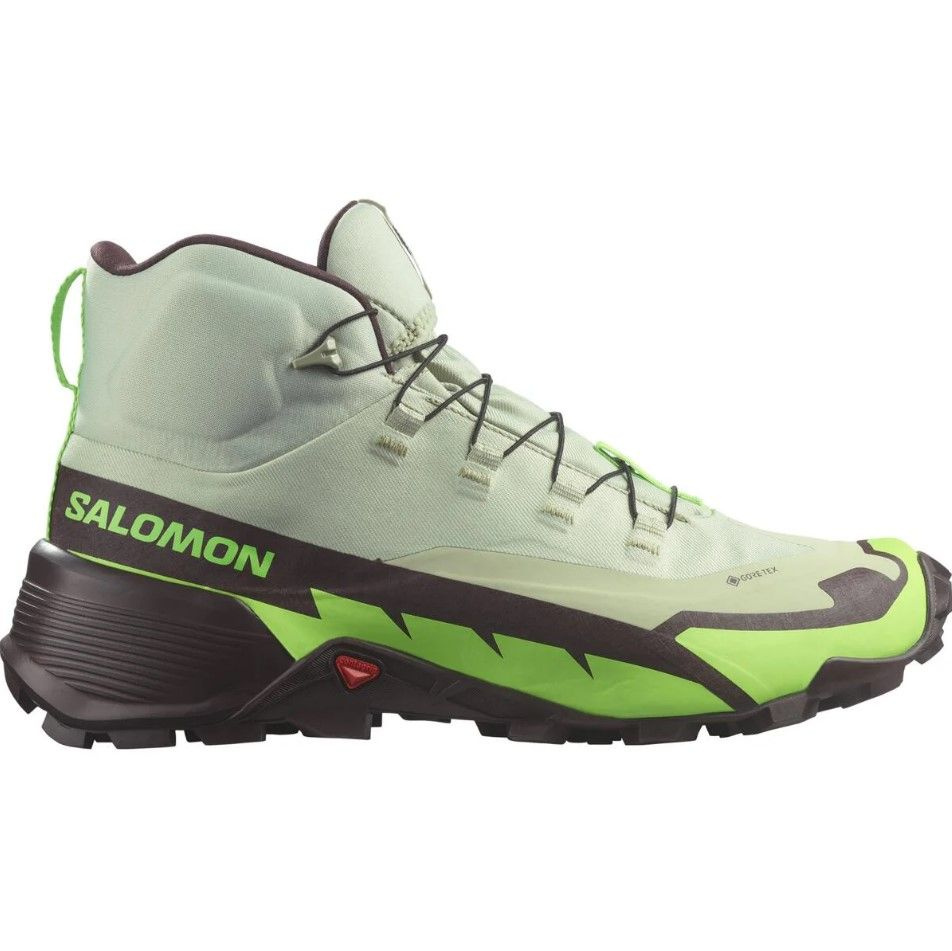 Кроссовки Salomon CROSS HIKE GTX 2 #1