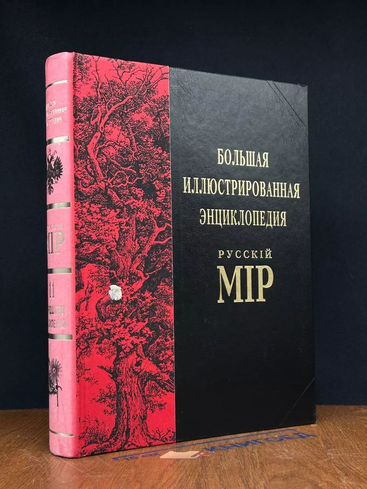 Большая иллюстрированная энциклопедия. Русскiй мiр. Том 11  #1