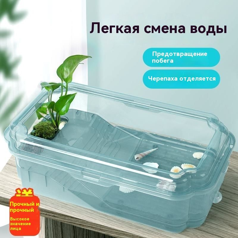 Аквариум #1